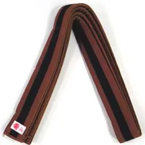 sun_belt_brown_black_stripe