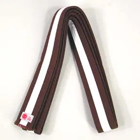 sun_belt_brown_white_stripe