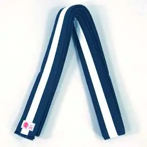 sun_belt_navy_white_stripe