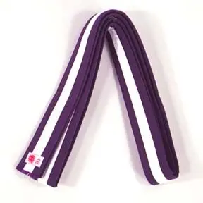 sun_belt_purple_white_stripe